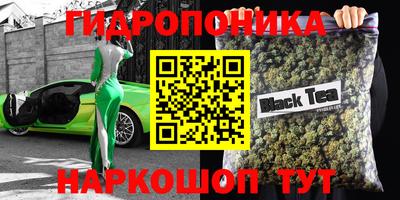 шишки Жуковский
