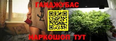 шишки Жуковский