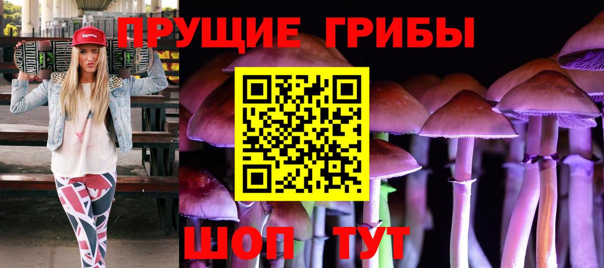 Галлюциногенные грибы прущие грибы  Вход с VPN  Кумертау  хочу наркоту  Псилоцибиновые грибы Psilocybine cubensis 