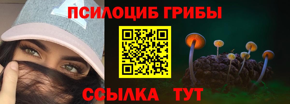 Галлюциногенные грибы Psilocybine cubensis Кумертау